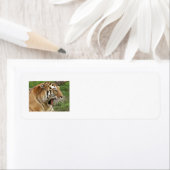Tiger Address Labels (Insitu)