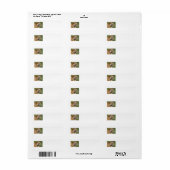 Tiger Address Labels (Vorne)