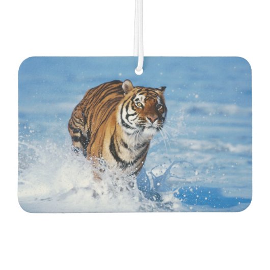 Tiger Air Freshener Autolufterfrischer (Vorderseite)