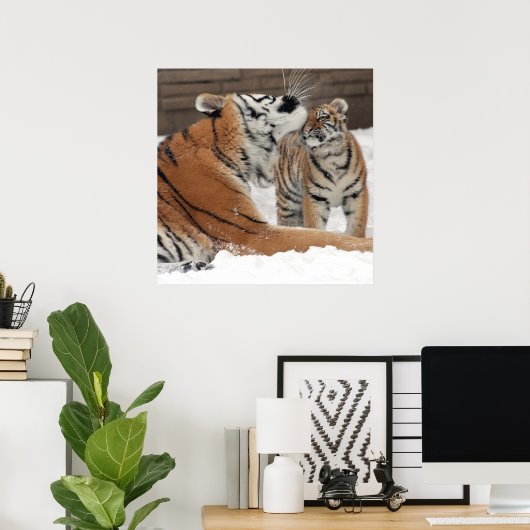 Tiger and Cub Hugs Poster (Heimbüro)