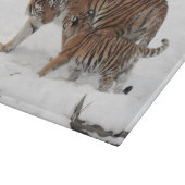 Tiger and Cub in the Snow Schneidebrett (Ecke)