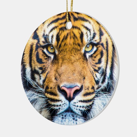 Tiger-Angesicht Nah-Monogramm-Name Keramik Ornament (Links)