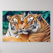 Tiger Animal Nature Wildlife Zuneigung Gekümmert Poster (Vorne)