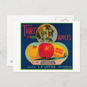 Tiger Apple Crate LabelWatsonville, CA Postkarte (Vorne/Hinten)