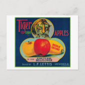Tiger Apple Crate LabelWatsonville, CA Postkarte (Vorderseite)