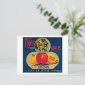 Tiger Apple Crate LabelWatsonville, CA Postkarte (Stehend Vorderseite)