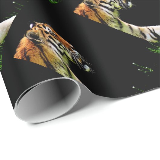 Tiger Approaching - Wildtierarbeiten Geschenkpapier (Rolleneckpunkt)