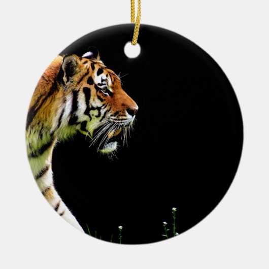 Tiger Approaching - Wildtierarbeiten Keramik Ornament (Vorne)