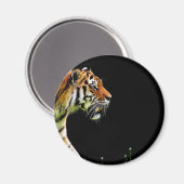Tiger Approaching - Wildtierarbeiten Magnet (Vorderseite/Rückseite)