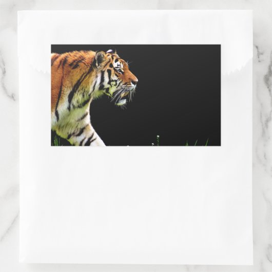 Tiger Approaching - Wildtierarbeiten Rechteckiger Aufkleber (Tasche)