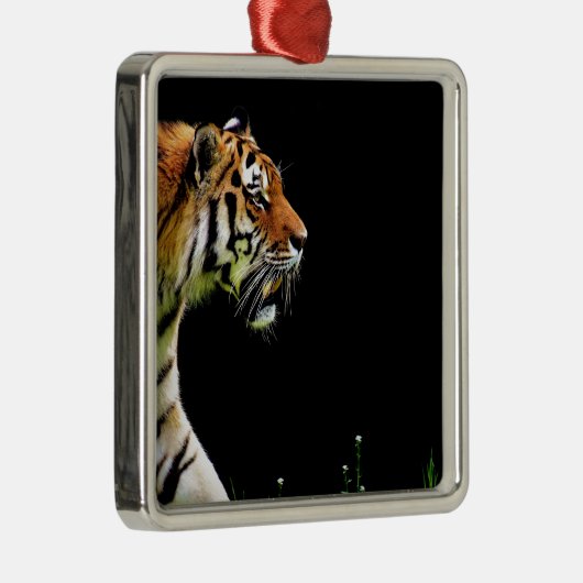 Tiger Approaching - Wildtierarbeiten Silbernes Ornament (Rechts)