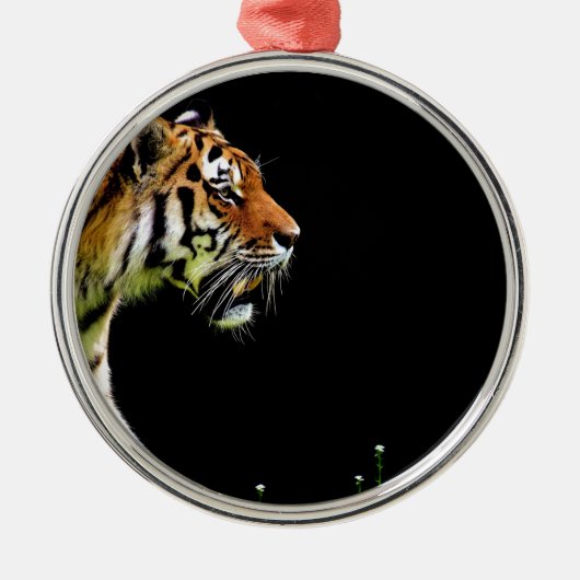 Tiger Approaching - Wildtierarbeiten Silbernes Ornament (Vorne)