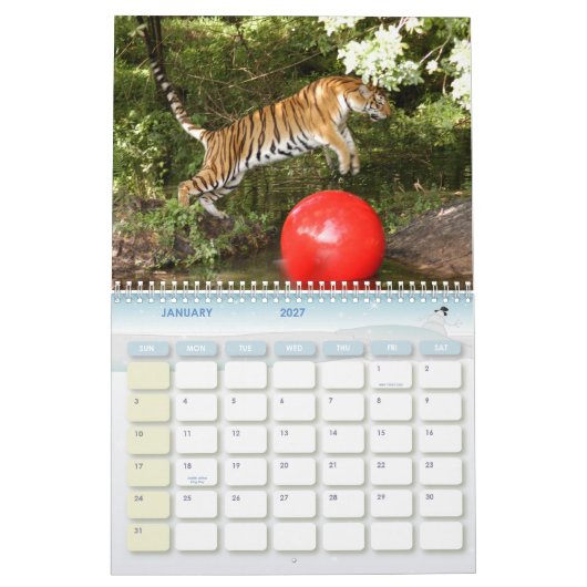 Tiger_Aroara012, Tiger Auroara Kalender (Jan 2027)