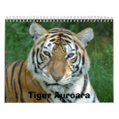 Tiger_Aroara012, Tiger Auroara Kalender (Titelbild)