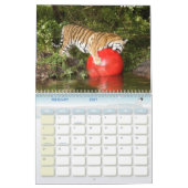 Tiger_Aroara012, Tiger Auroara Kalender (Feb 2027)