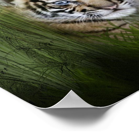 Tiger Art Poster (Ecke)