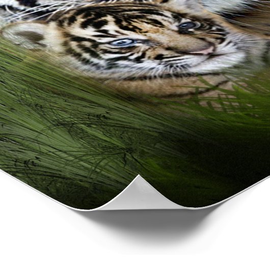 Tiger Art Poster (Ecke)