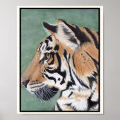 TIGER Art Print, geeignet für Framing Miranda Poster (Vorne)