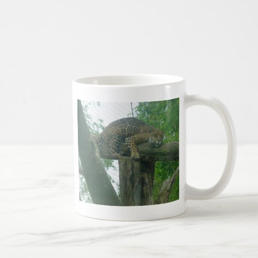 Tiger auf Bäumen, Wald, Natur, wild lebende Tiere Kaffeetasse (Rechts)
