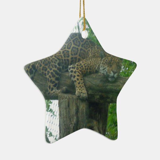 Tiger auf Bäumen, Wald, Natur, wild lebende Tiere Keramikornament (Rechts)