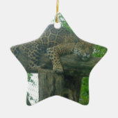 Tiger auf Bäumen, Wald, Natur, wild lebende Tiere Keramikornament (Vorne)