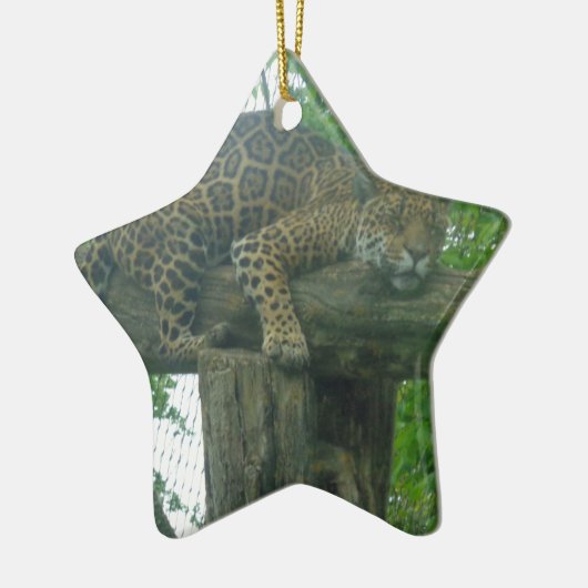 Tiger auf Bäumen, Wald, Natur, wild lebende Tiere Keramikornament (Links)