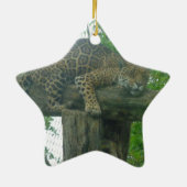 Tiger auf Bäumen, Wald, Natur, wild lebende Tiere Keramikornament (Hinten)