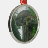 Tiger auf Bäumen, Wald, Natur, wild lebende Tiere Ornament Aus Metall (Rechts)