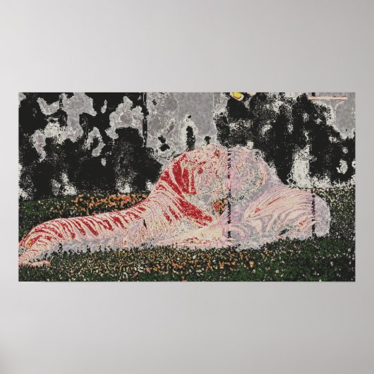 Tiger auf dem Feld Poster (Vorne)