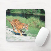 Tiger auf dem Weg Mousepad (Mit Mouse)