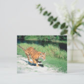 Tiger auf dem Weg Postkarte (Stehend Vorderseite)