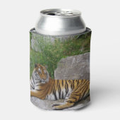 Tiger auf einem Felsen Dosenkühler (Kanne Vorderseite)