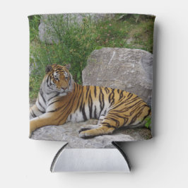 Tiger auf einem Felsen Dosenkühler