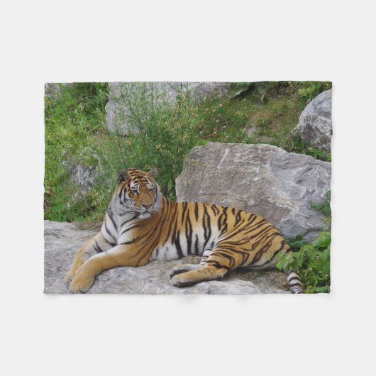 Tiger auf einem Felsen Fleecedecke (Vorderseite (Horizontal))