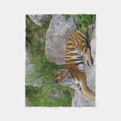Tiger auf einem Felsen Fleecedecke (Vorderseite)