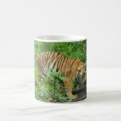 Tiger auf Klotz Kaffeetasse (Mittel)