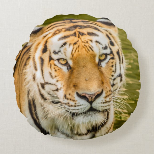 Tiger auf rundem Kissen (Vorderseite)