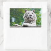 Tiger-Aufkleber Rechteckiger Aufkleber (Tasche)