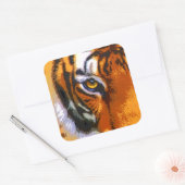 TIGER-AUGE QUADRATISCHER AUFKLEBER (Umschlag)