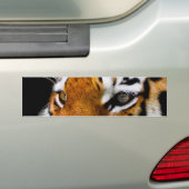 Tiger Autoaufkleber (Auf Auto)