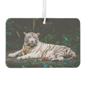Tiger Autolufterfrischer (Rückseite)