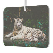 Tiger Autolufterfrischer (Links)