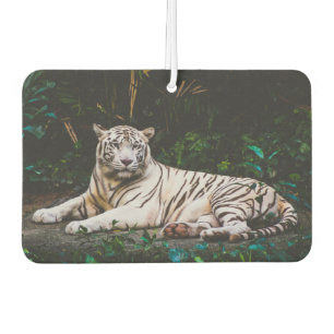 Tiger Autolufterfrischer