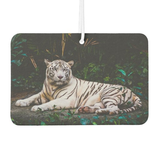 Tiger Autolufterfrischer (Vorderseite)