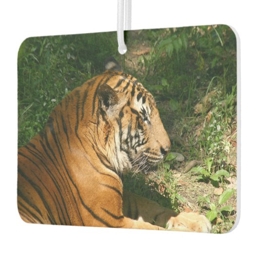 Tiger Autolufterfrischer (Links)