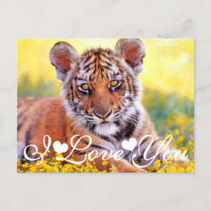 Tiger Baby Cub I Liebe You Postkarte