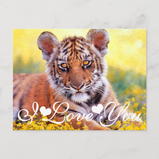 Tiger Baby Cub I Liebe You Postkarte (Vorderseite)