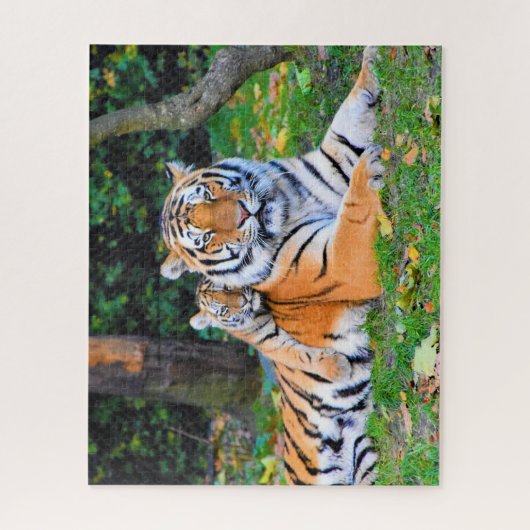 Tiger & Baby Posing Schöne Rasenmischung Puzzle (Vertikal)