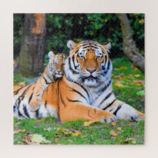 Tiger & Baby Posing Schöne Rasenmischung Puzzle (Vertikal)