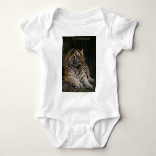 Tiger Baby Strampler (Vorderseite)